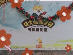 -柴犬高等学院·狗咖·柴犬售卖·宠物训练