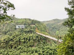 -川西竹海景区