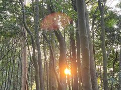 -火炉山森林公园