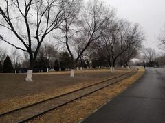 -永定河休闲森林公园