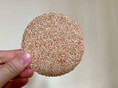 薄脆芝麻饼-一定好食品有限公司(四川北路商业街店)