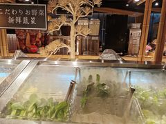 -温野菜涮涮锅(西单大悦城店)