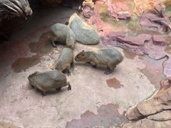 -长鹿旅游休博园