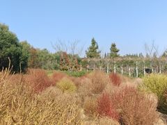 -同里国家湿地公园
