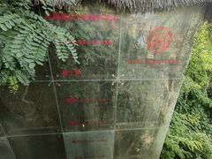 -陈炉古镇