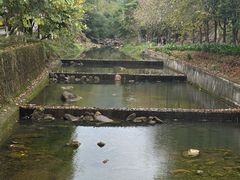 -广州白江湖森林公园