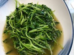 山菌鸡毛菜-西北人家莜面村(建设店)