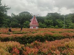 -东莞植物园