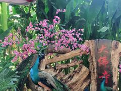 -西双版纳勐泐文化旅游区