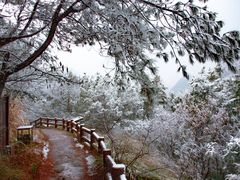 -江西龙虎山景区