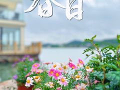 -东钱湖小普陀景区