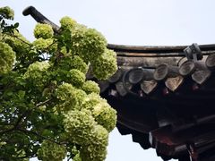 -常熟方塔园