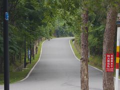 -青龙山国家森林公园