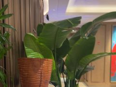 -杭州君悦酒店·青莳