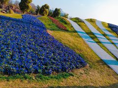 -南通洲际绿博园