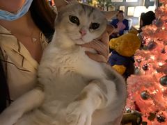 -咖法森林·咖啡  酒吧(天河店)