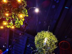 -胡桃里音乐酒馆(四道口店)