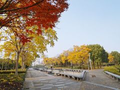 -蠡湖大桥公园
