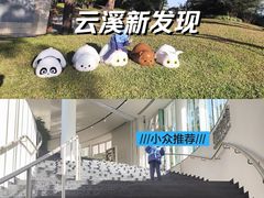-云溪植物园