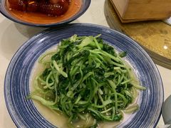 清炒豆苗-鸭匠食府·挂炉烤鸭·新京菜(阜成路店)