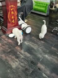 -無名发艺