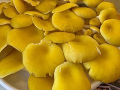 -朴小妹人参鸡汤火锅(长白山万达店)