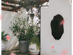 -悦哉·派对·草坪婚礼·围炉煮茶(三圣乡店)