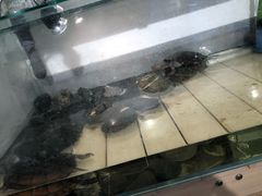 -甜心闲生传统手工冰粉(奎星楼店)