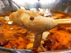 -沸腾鱼乡(知春路分店)