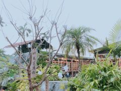 -花溪雨·森林餐厅(石基店)