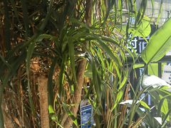 -Nectar One Cafe(勇烈路n1店)