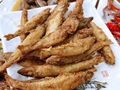 -渔家小院观海海肠捞饭地方菜(环海中路店)