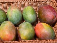 -金鼎轩(阜成门店)