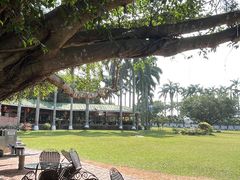 -侯臣咖啡文化村