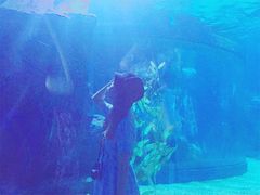 -暹罗海洋世界