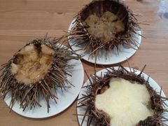 -海胆小馆(东北水饺·春柳店)