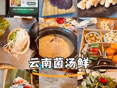 -慢丽江·云南野生菌土鸡锅(付家庄店)