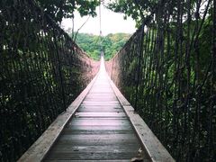 亚龙湾人间天堂-鸟巢度假村-三亚亚龙湾人间天堂鸟巢度假村