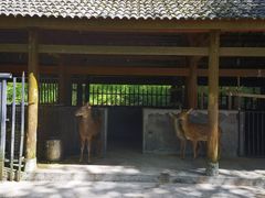 -太阳湾风景区