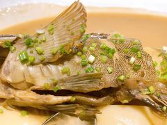 -甄御•海鲜新青岛菜(麦岛店)