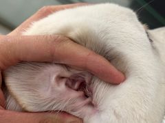 -comecome来吧宠物(奥克斯中心店)