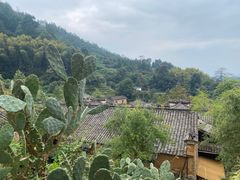 -杨家堂村