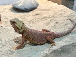 -Zoolung Zoolung动物主题公园(海信广场店)