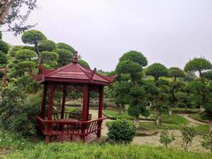 -武汉紫薇都市田园