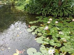 -晓港公园