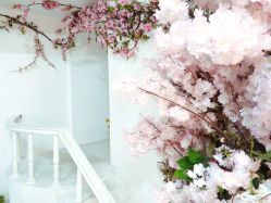 -十月贝贝百天照儿童摄影