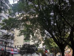 门面-没牙伯花生汤店(老药洲店)