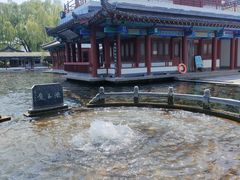 -百脉泉景区