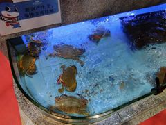 -启东恒大酒店·吕四渔号海鲜餐厅