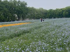 -江苏三台山国家森林公园